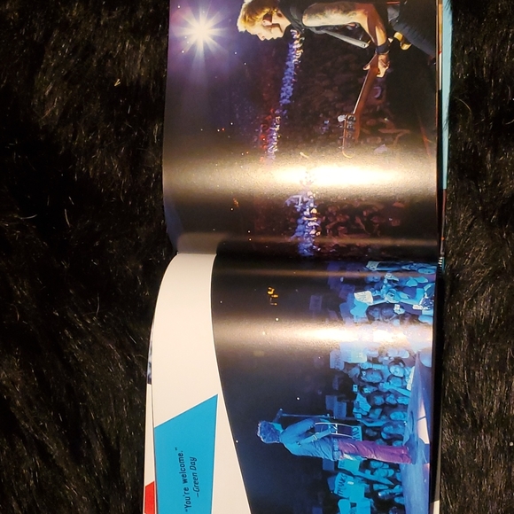 Green Day book - Picture 3 of 5